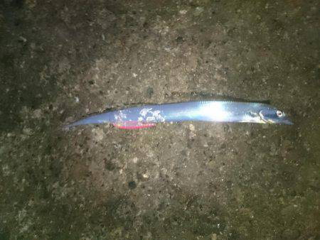 サーベルハンター