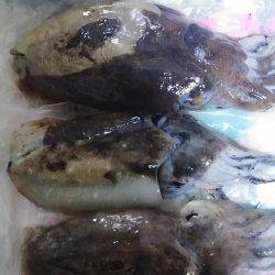 そろそろ釣れるかな