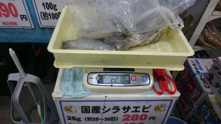 昨日に続き夕まずめねらいで！