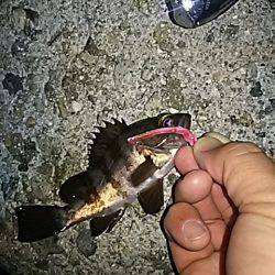 シャローアジング