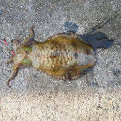 初めての場所へ