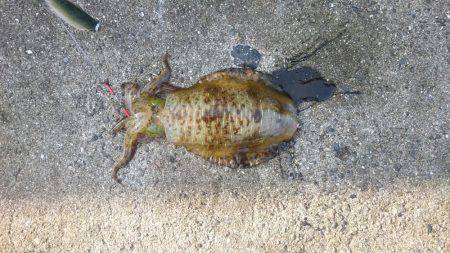 初めての場所へ