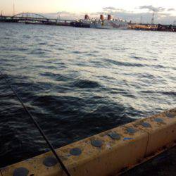 南港初ポイントへ