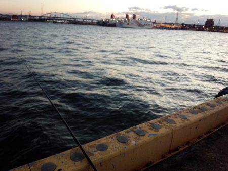 南港初ポイントへ