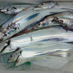 昨日とは全く異なる状況