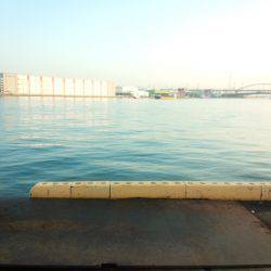 ドラゴン級バラシ後ドラゴンゲット、、、