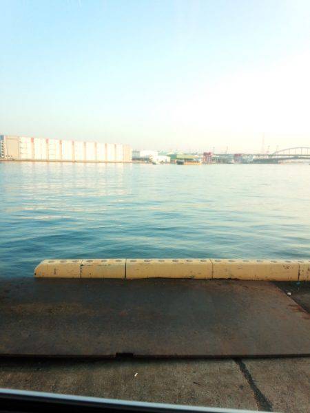 ドラゴン級バラシ後ドラゴンゲット、、、