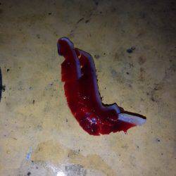 寒い中….それなりに