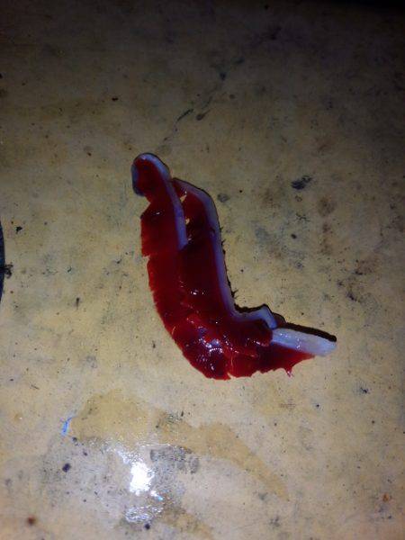 寒い中….それなりに