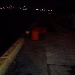 アンチョビでドラゴン