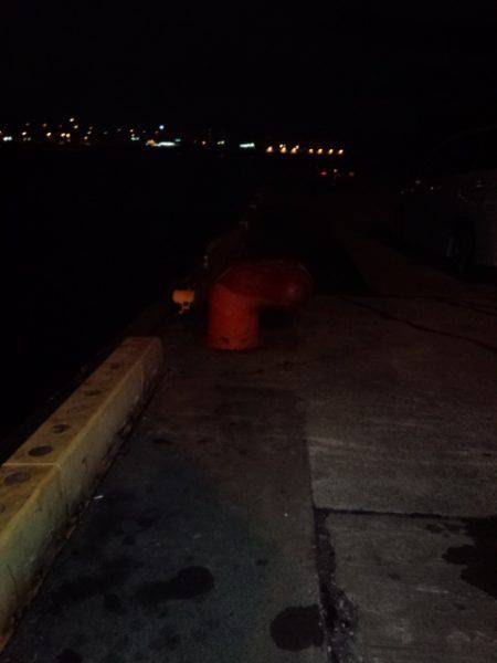 アンチョビでドラゴン