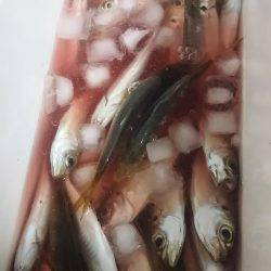 テンションかけずに