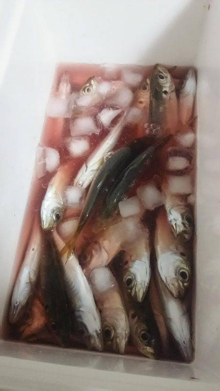 テンションかけずに