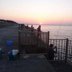 タチウオフィーバー