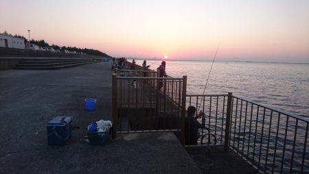 タチウオフィーバー