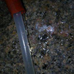 メバリングで良型キャッチ！