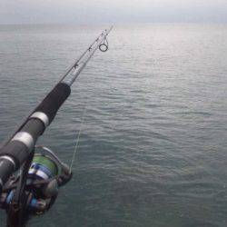 ショアジギング釣行