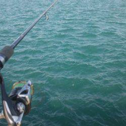 タチウオ釣り