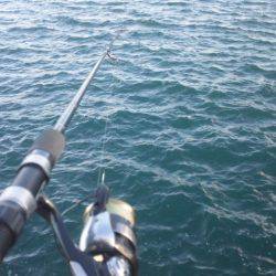 タチウオ釣り
