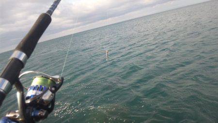 ショアジギング釣行