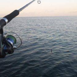 ショアジギング釣行