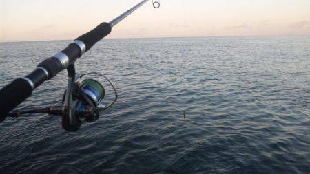 ショアジギング釣行