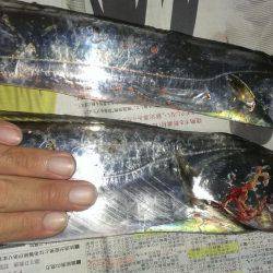 ルアーより餌か