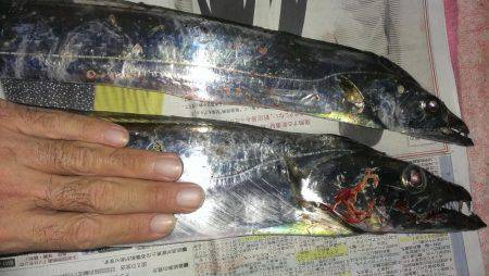 ルアーより餌か