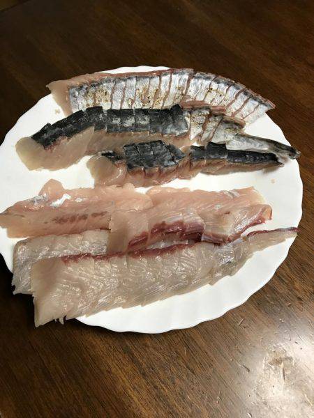 人生初のサゴシ