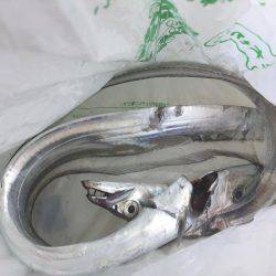 爆風荒波の中ジギング船釣行