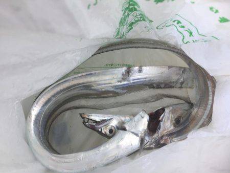 爆風荒波の中ジギング船釣行