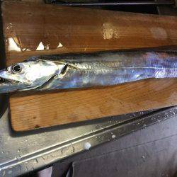 むむむ・・無念!