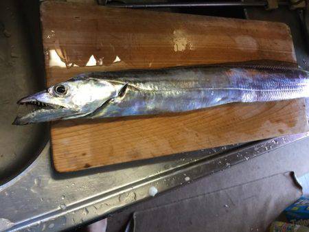 むむむ・・無念!