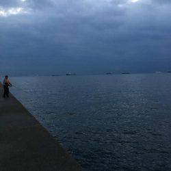 松村渡船さんにて