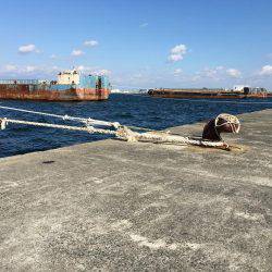 太刀とチーバス