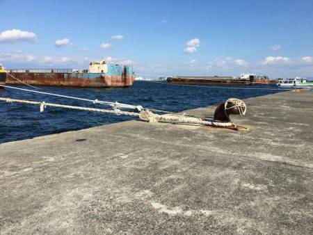 太刀とチーバス