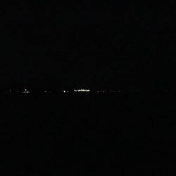 テンポ良く釣れました