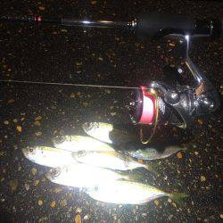 大雨だとダメなのか?!