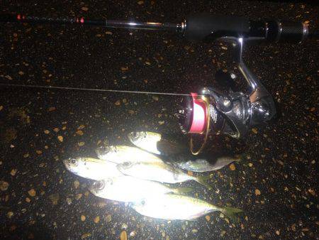 大雨だとダメなのか?!