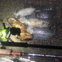 午前3時から朝までの予定でしたが。