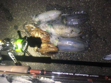 午前3時から朝までの予定でしたが。