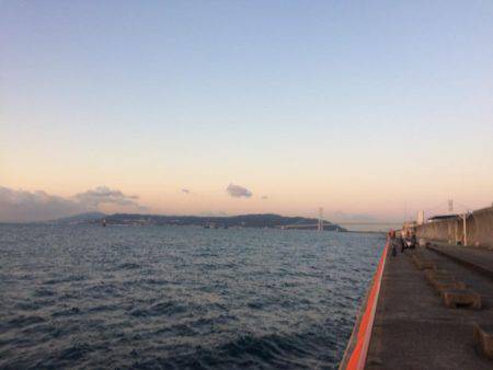 マダイを育てて帰りました