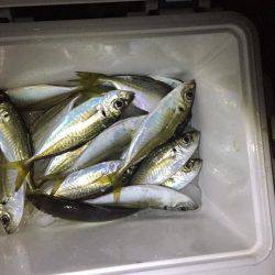 サーフアジング！