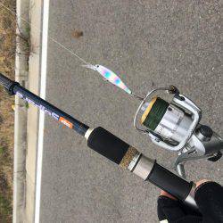 太刀魚ゲッツ！