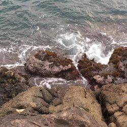 磯でジグヘッド