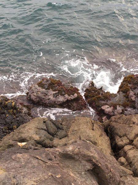 磯でジグヘッド