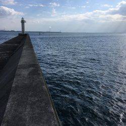 ライトショアジギング