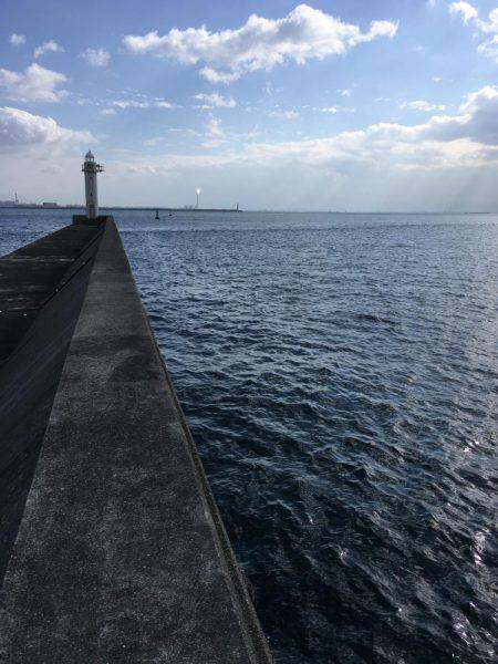 ライトショアジギング