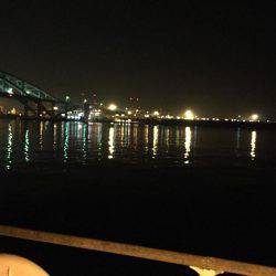 タチウオとアジング