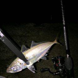 アジング釣行2日目